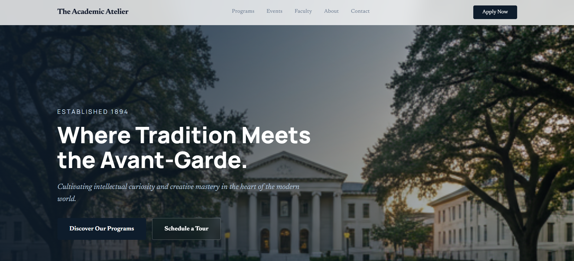 Website project showcase